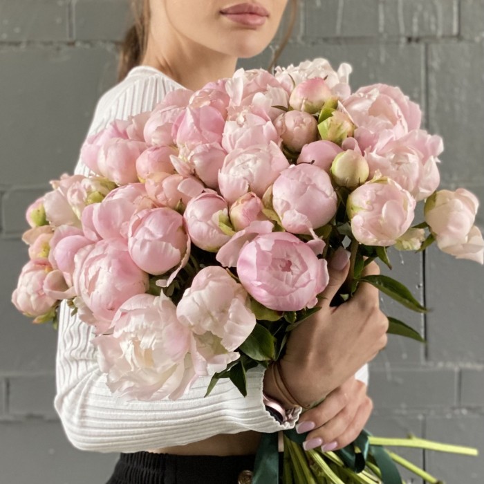 Пион нежно-розовый Ангел Чикс