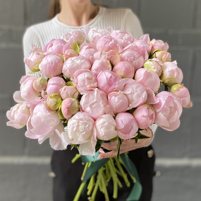 Пион нежно-розовый Ангел Чикс