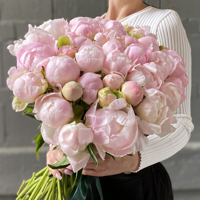 Пион нежно-розовый Ангел Чикс