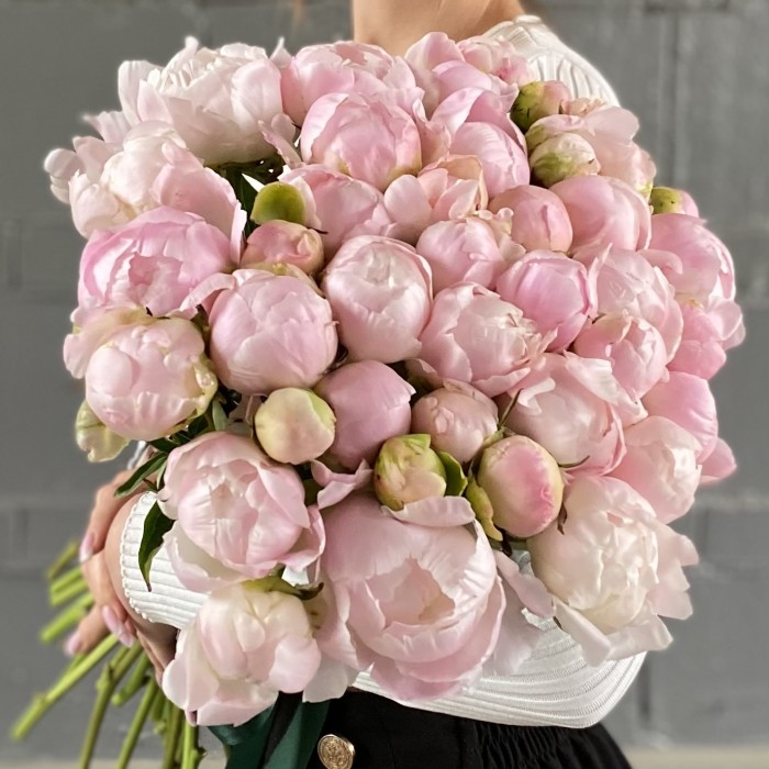 Пион нежно-розовый Ангел Чикс