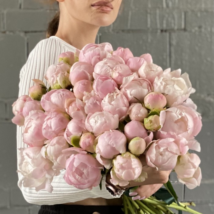 Пион нежно-розовый Ангел Чикс