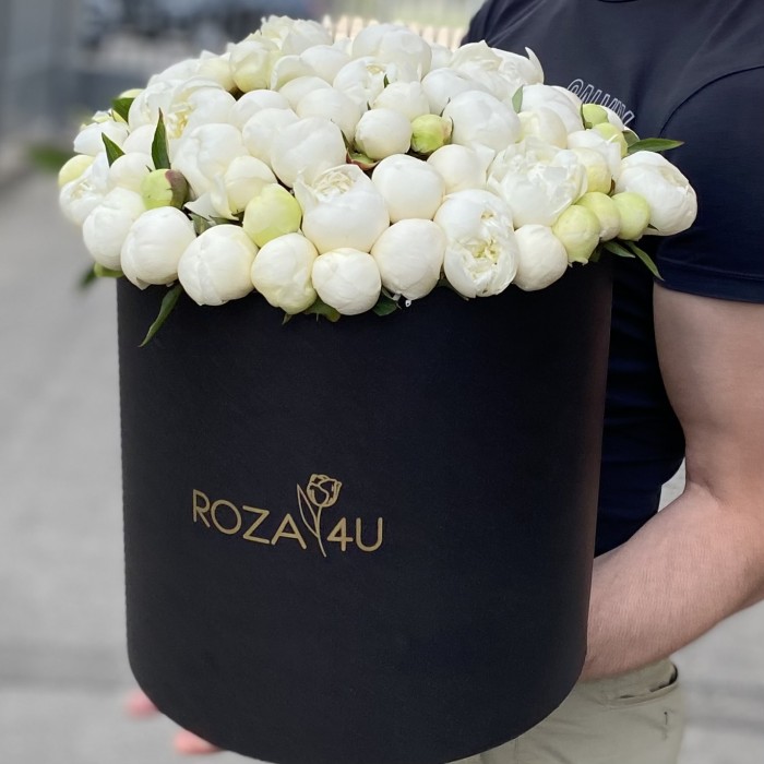 101 белый пион в коробке