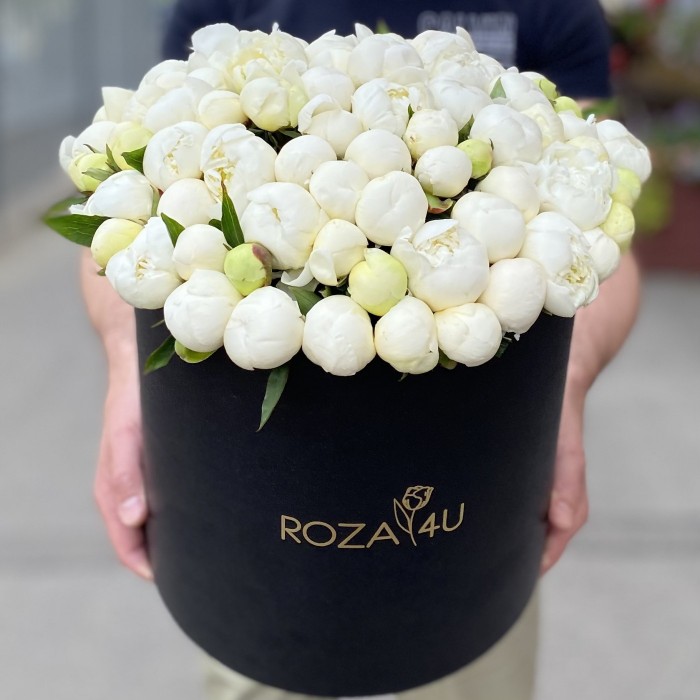 101 белый пион в коробке