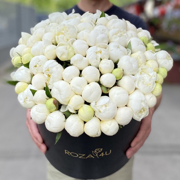 101 белый пион в коробке