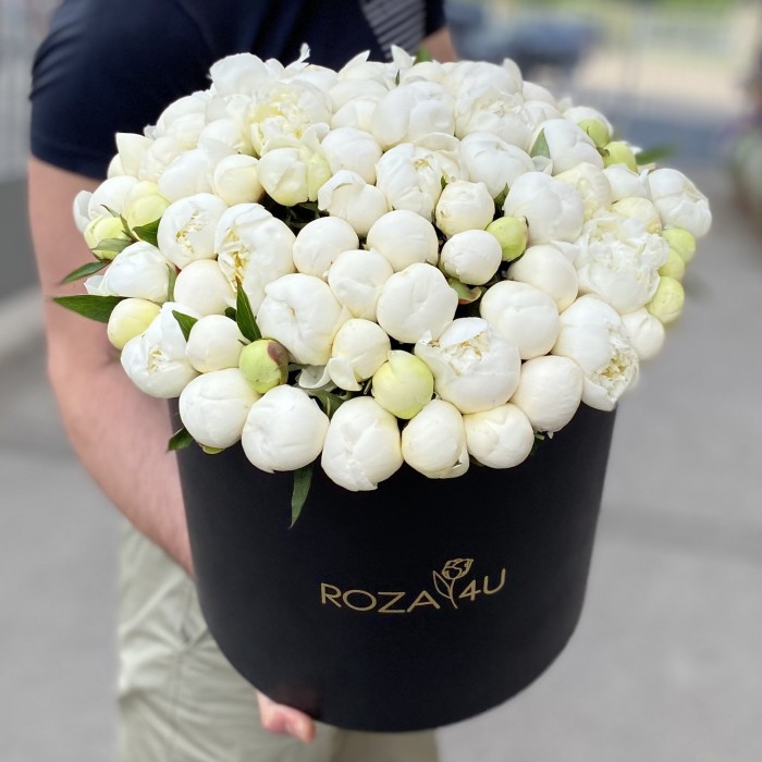 101 белый пион в коробке