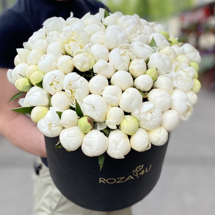 101 белый пион в коробке