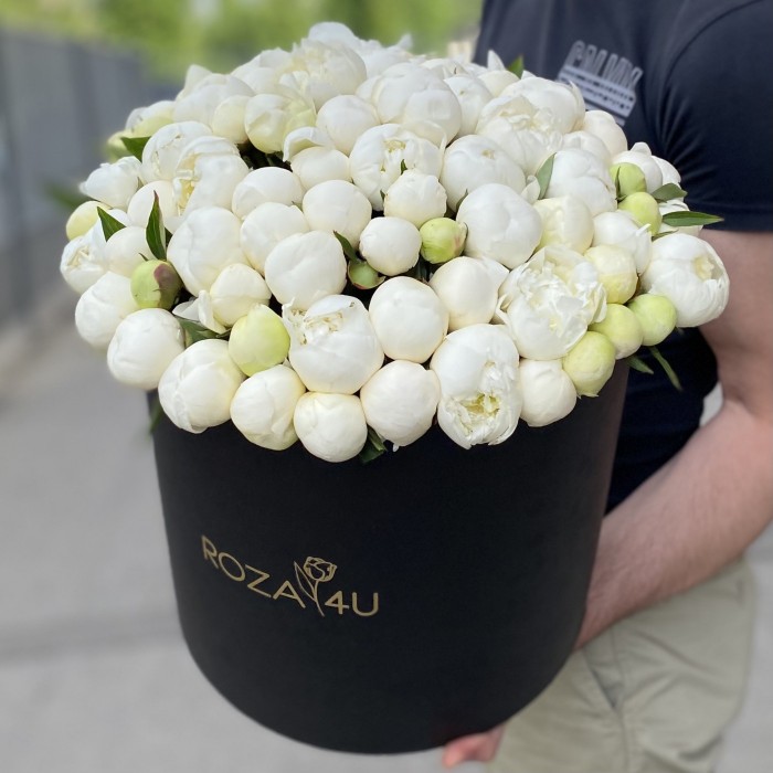 101 белый пион в коробке