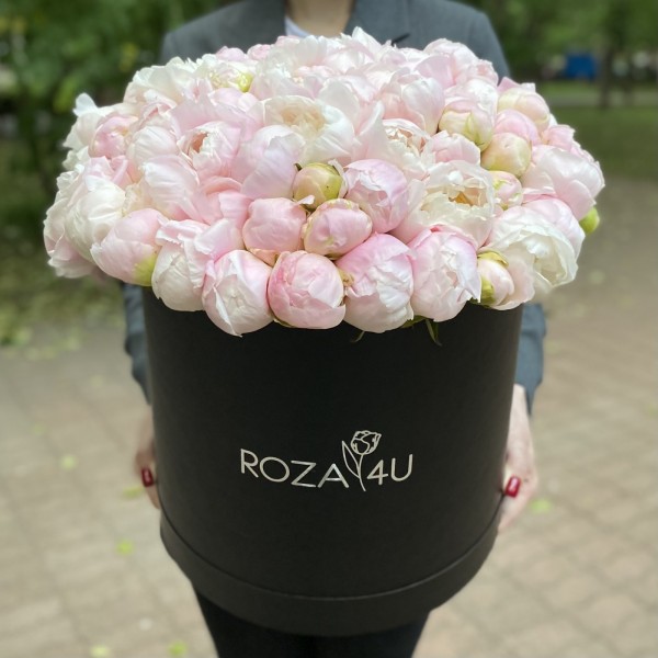 101 нежно-розовый пион в коробке