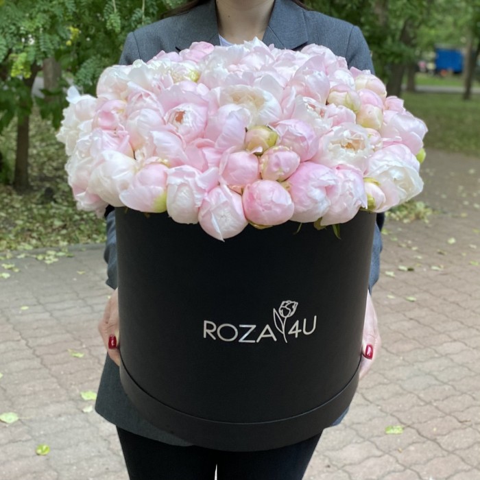 101 нежно-розовый пион в коробке