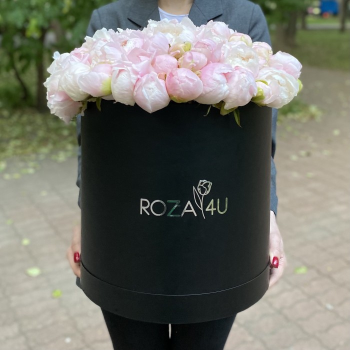 101 нежно-розовый пион в коробке