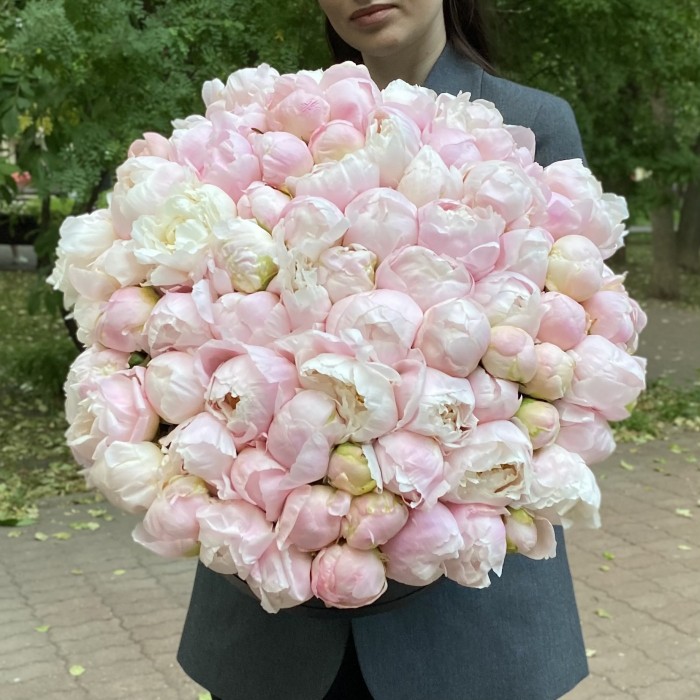 101 нежно-розовый пион в коробке