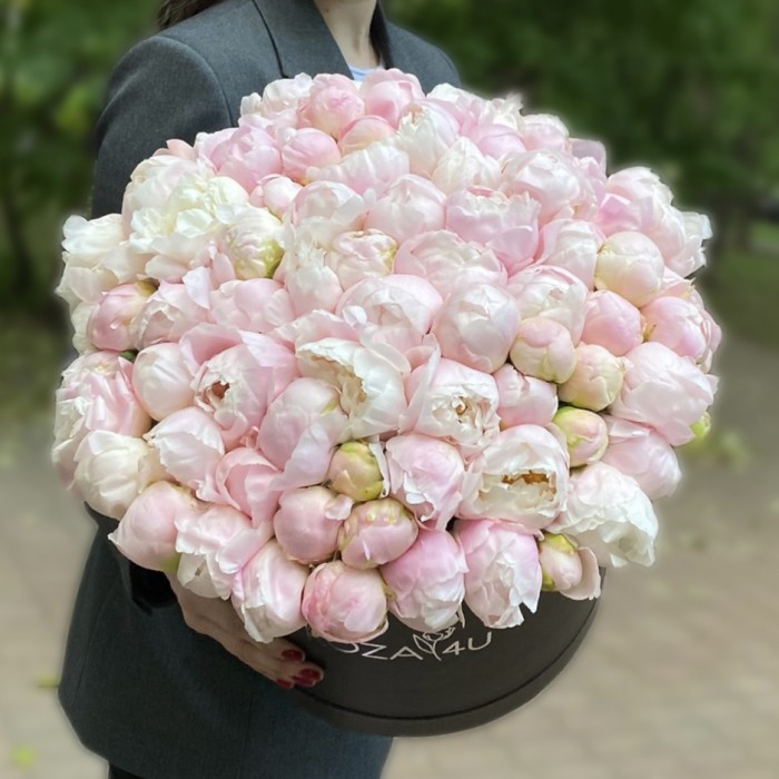 101 нежно-розовый пион в коробке