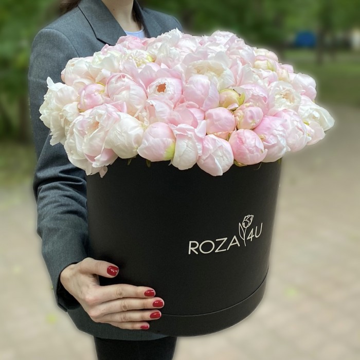 101 нежно-розовый пион в коробке