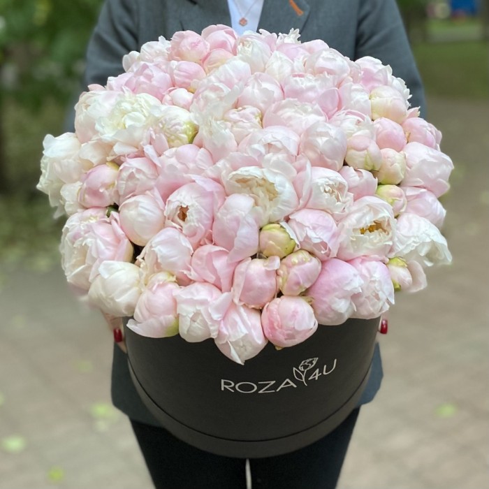 101 нежно-розовый пион в коробке
