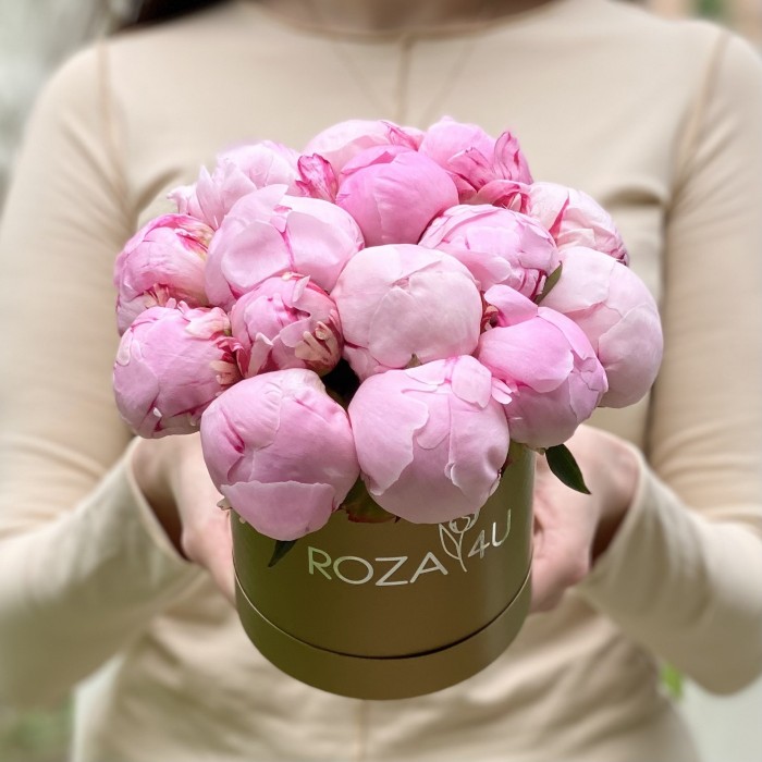 15 розовых пионов Сара Бернар в коробке
