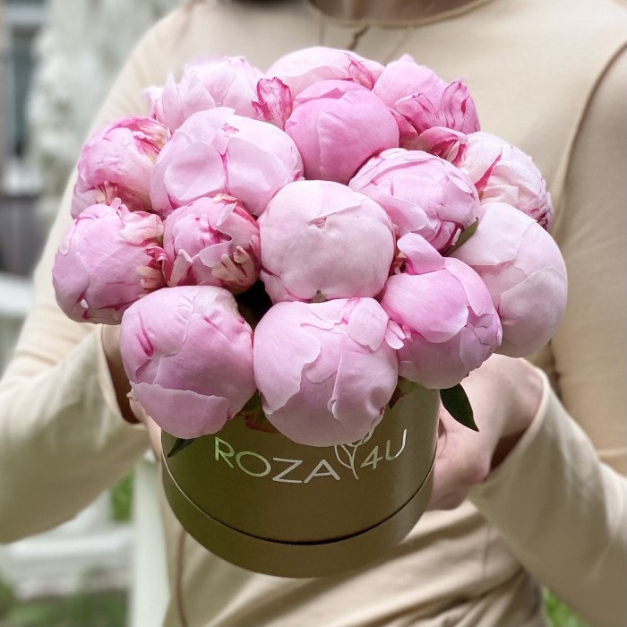 15 розовых пионов Сара Бернар в коробке
