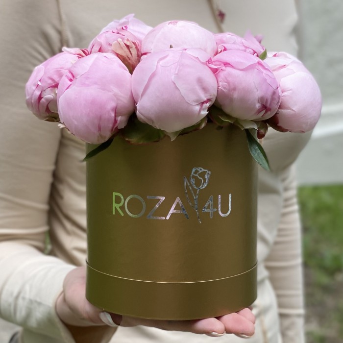15 розовых пионов Сара Бернар в коробке
