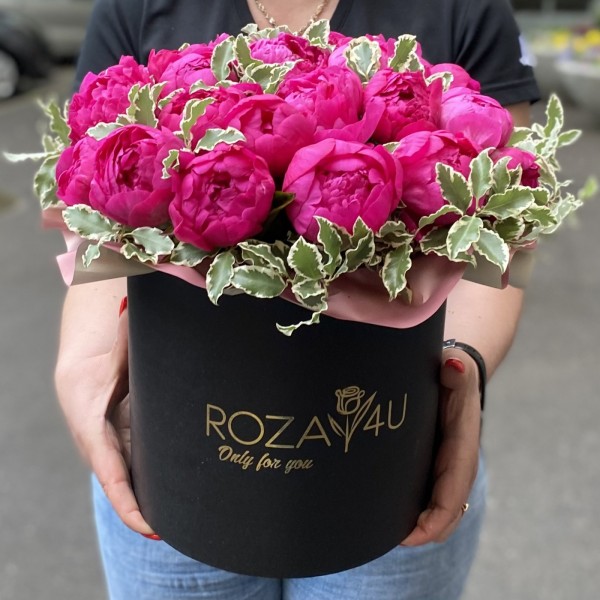 25 фиолетовых пионов Канзас в коробке