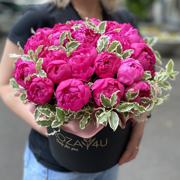 25 фиолетовых пионов Канзас в коробке