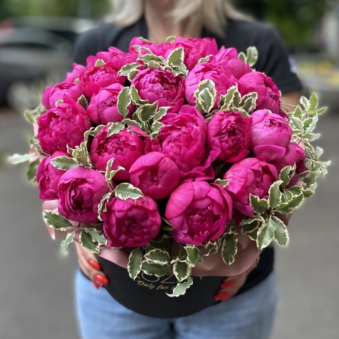 25 фиолетовых пионов Канзас в коробке