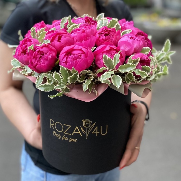 25 фиолетовых пионов Канзас в коробке