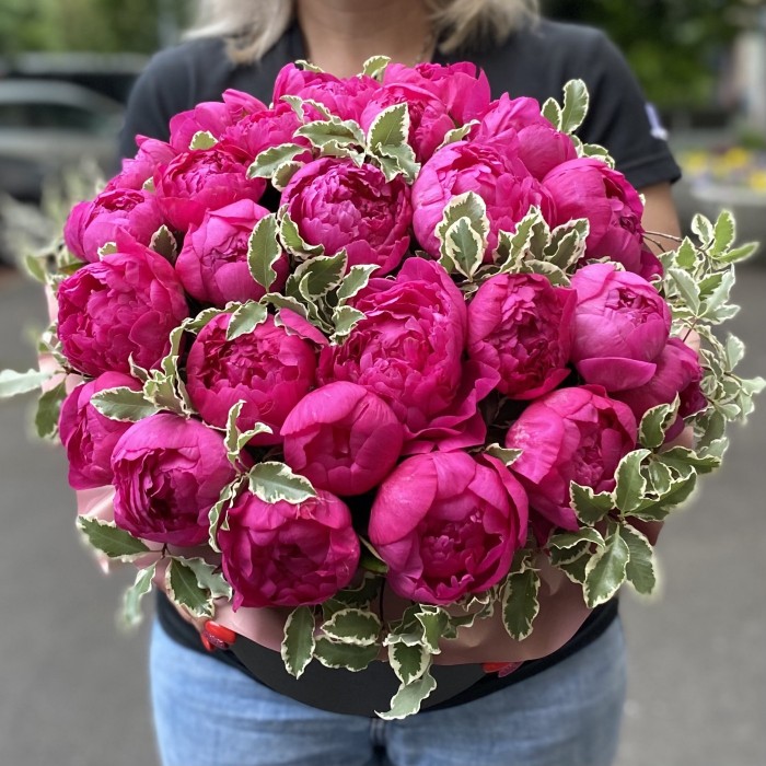 25 фиолетовых пионов Канзас в коробке