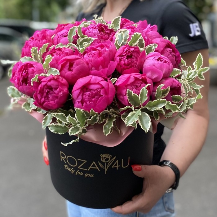 25 фиолетовых пионов Канзас в коробке