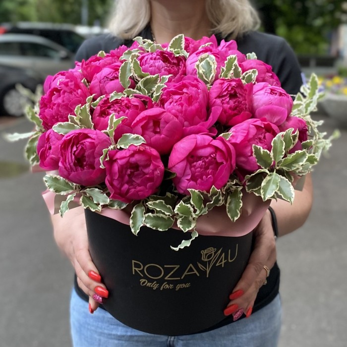 25 фиолетовых пионов Канзас в коробке