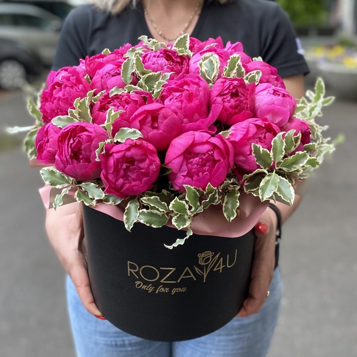 25 фиолетовых пионов Канзас в коробке