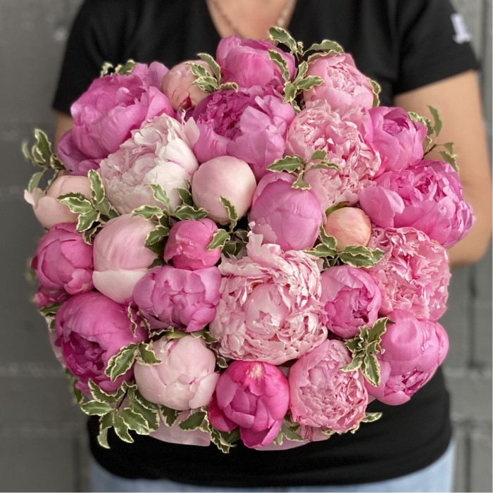 25 розовых пионов в коробке