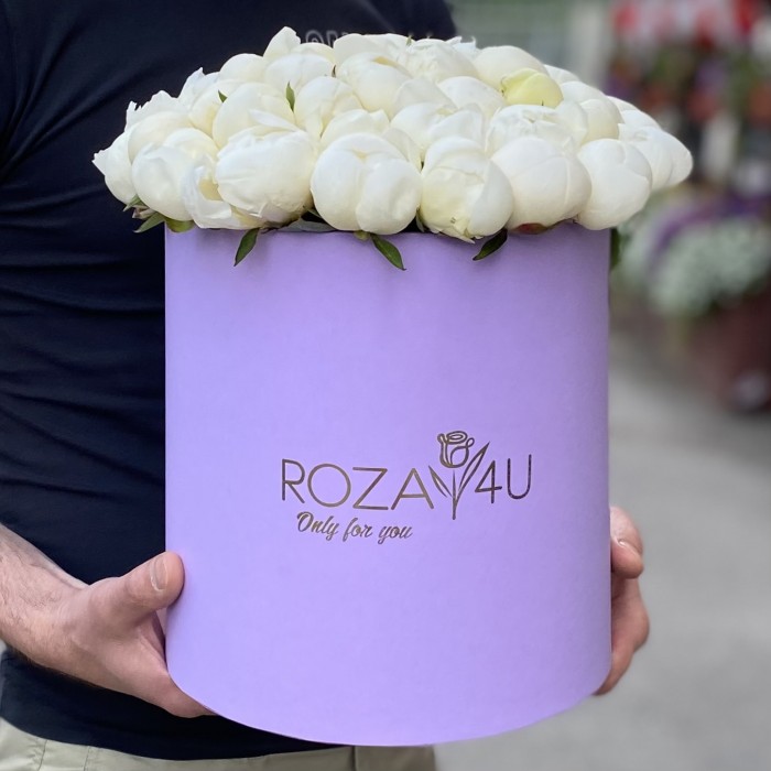 51 белый пион в коробке