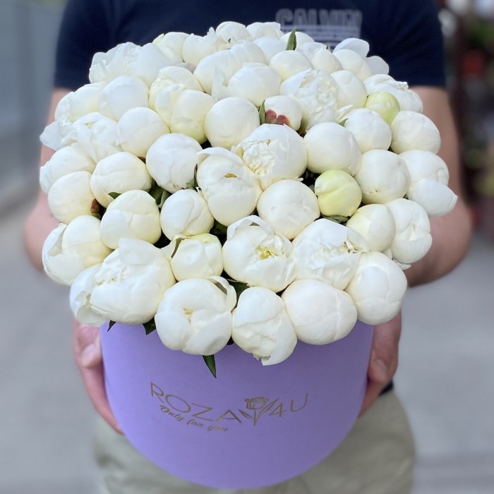 51 белый пион в коробке