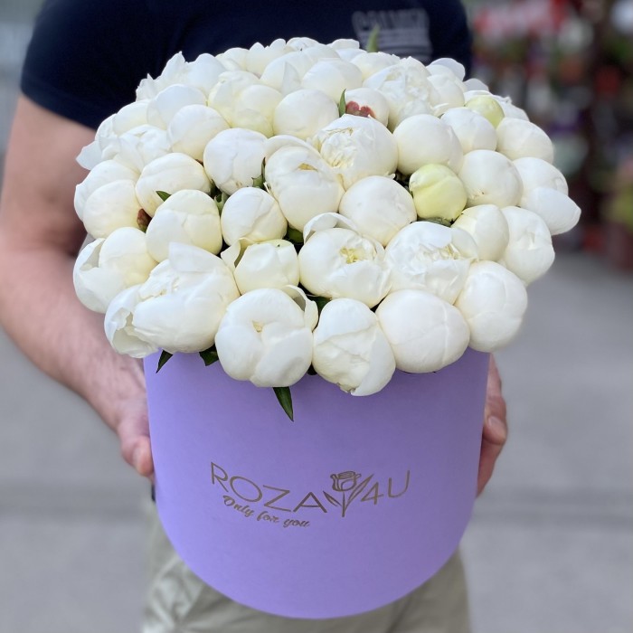 51 белый пион в коробке