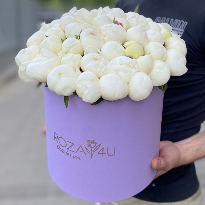 51 белый пион в коробке