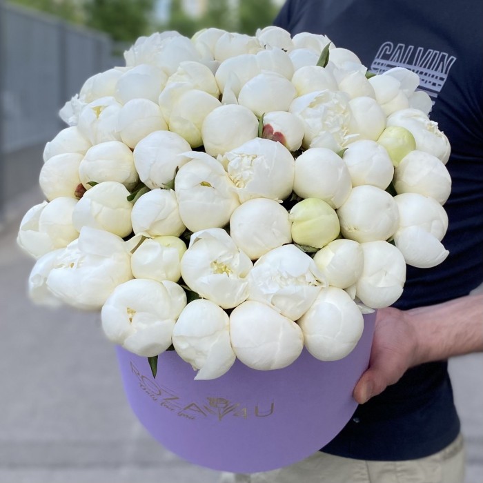 51 белый пион в коробке