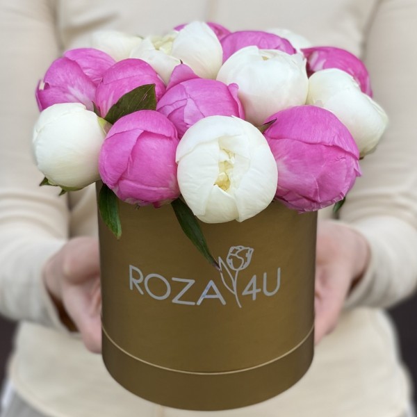 Дуэт из 15 малиновых и белых пионов в коробке