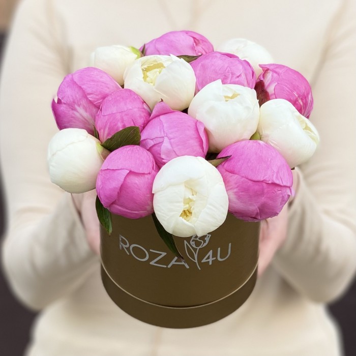 Дуэт из 15 малиновых и белых пионов в коробке