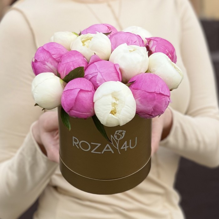 Дуэт из 15 малиновых и белых пионов в коробке