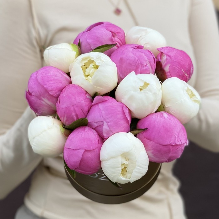 Дуэт из 15 малиновых и белых пионов в коробке