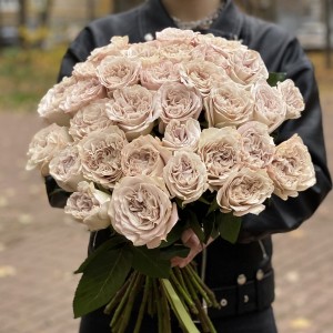 Пионовидная роза Петра