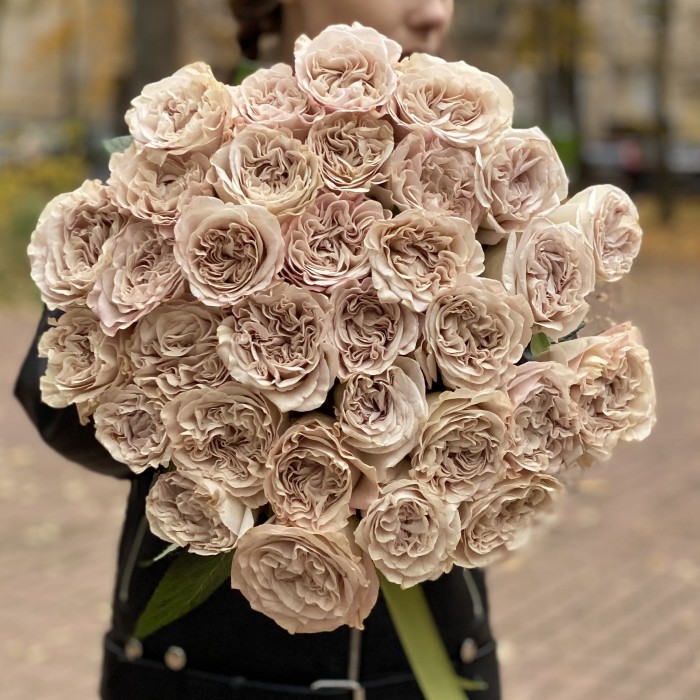 Пионовидная роза Петра