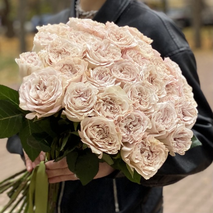 Пионовидная роза Петра