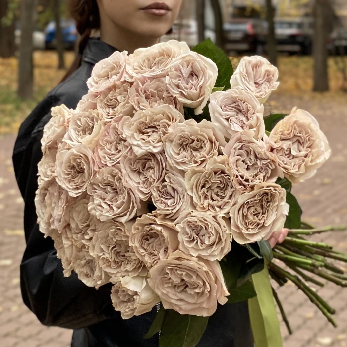 Пионовидная роза Петра