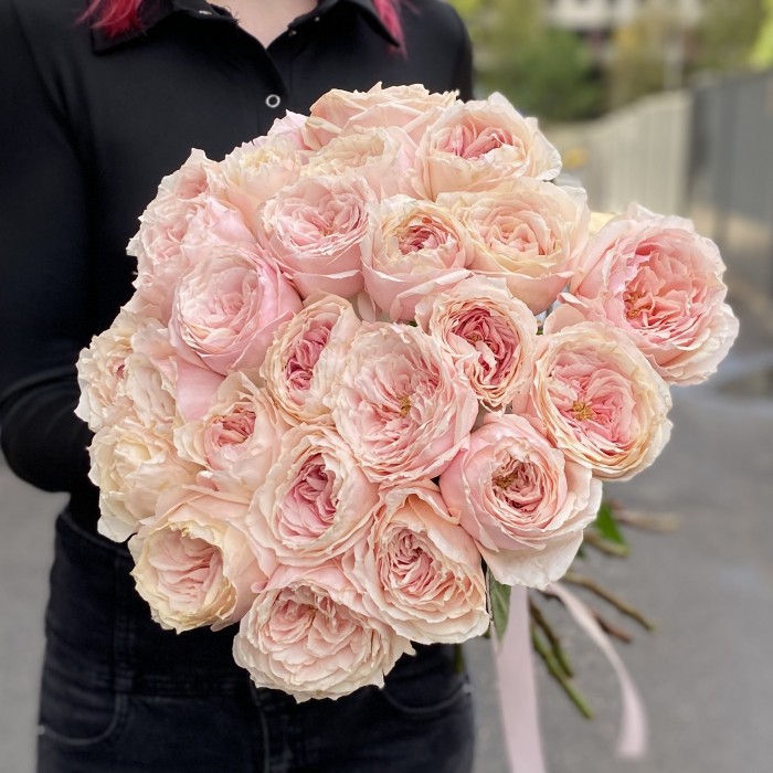 Пионовидная роза Тсумуги