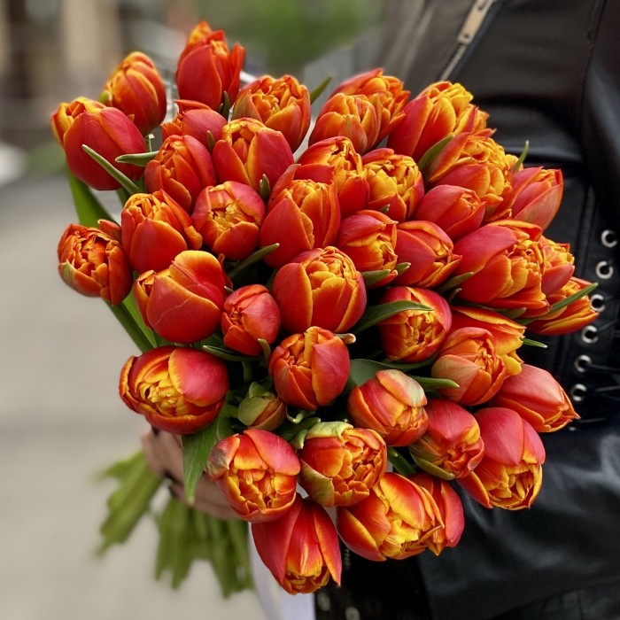 Тюльпан пионовидный оранжево-жёлтый Мира