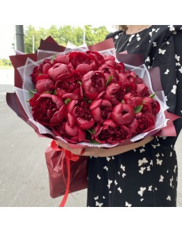 25 бордовых пионов Голландия