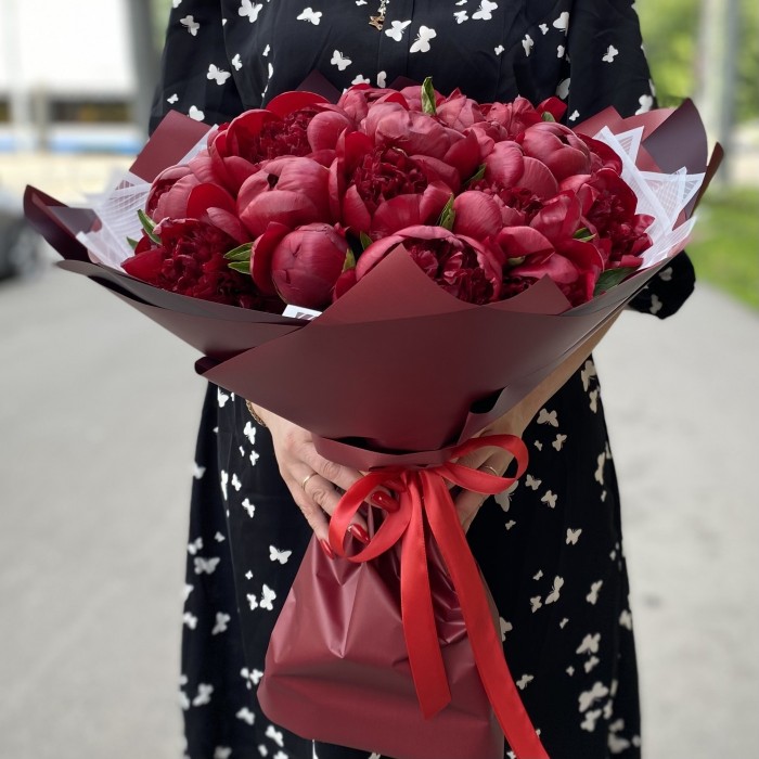 25 бордовых пионов Голландия