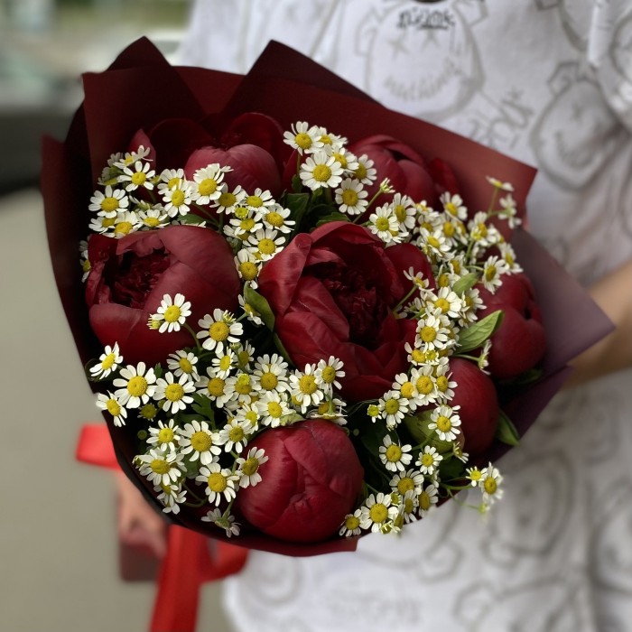 7 бордовых пионов с ромашками