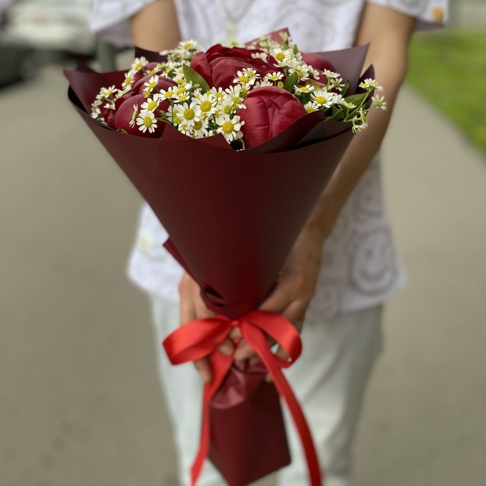 7 бордовых пионов с ромашками