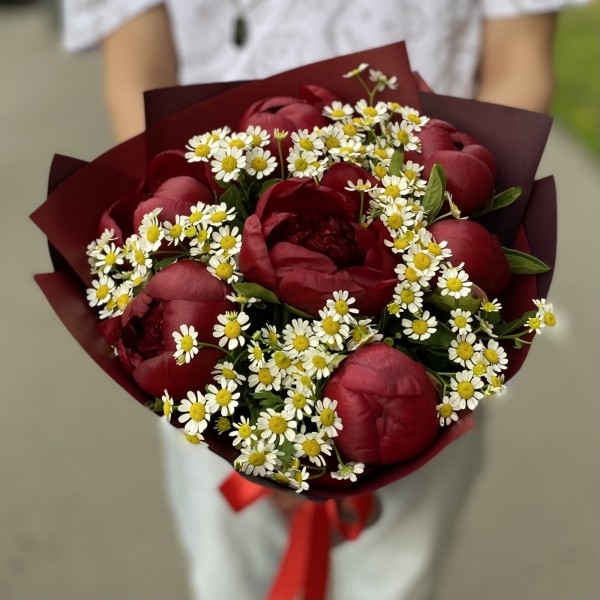 7 бордовых пионов с ромашками